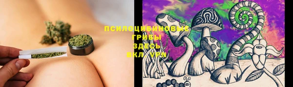 гидра Абдулино