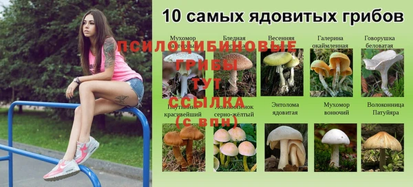 MDMA Инта