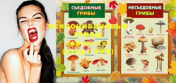 гидра Абдулино