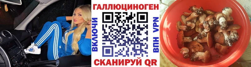 цена   Шебекино  Псилоцибиновые грибы прущие грибы 
